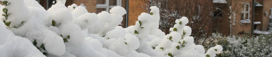 Ravnshøj Jelling